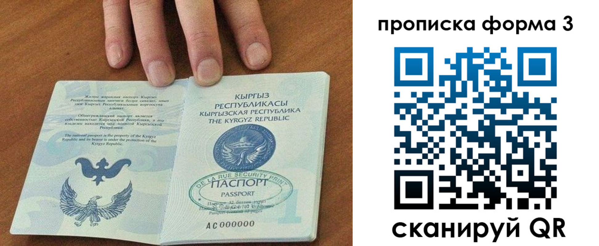 прописка 2025 в Белово
